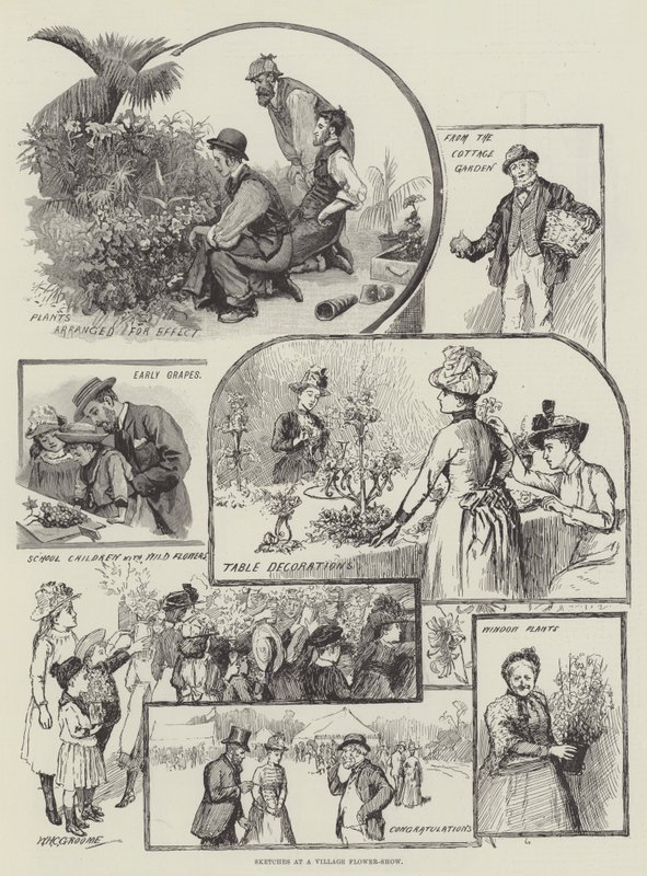 Skitser ved et landsbyblomstershow af William Henry Charles Groome