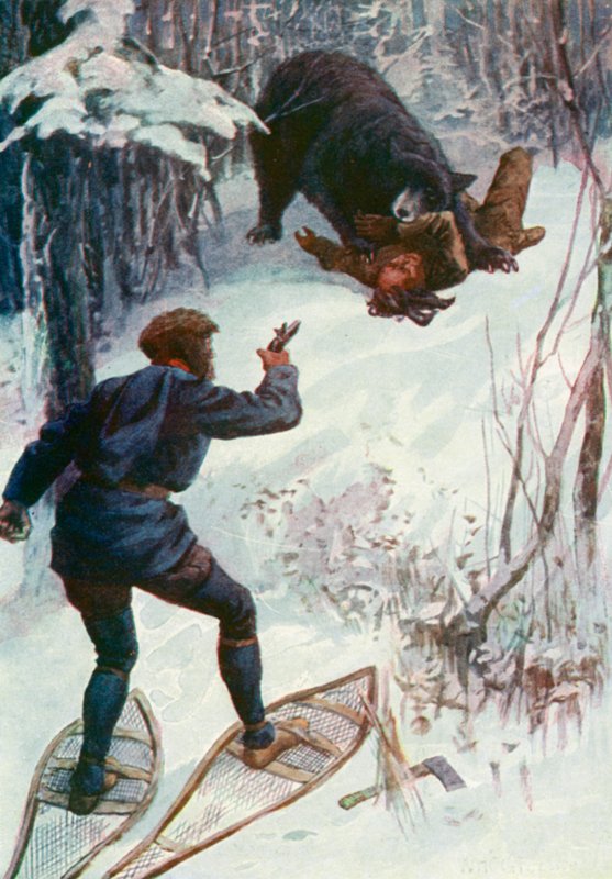 Bjørnen stod over ham og holdt en af hans arme i munden af William Henry Charles Groome