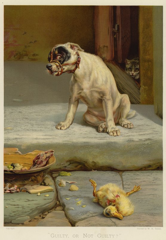 Skyldig eller ikke skyldig (chromolitho) af William Henry Hamilton Trood