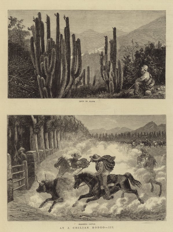 Ved en chilensk Rodeo, III af William Henry James Boot