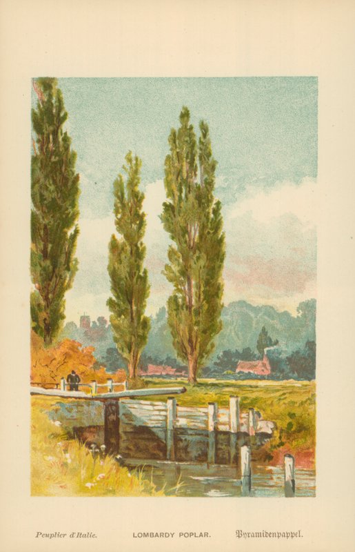 Pantelånere i Poplar af William Henry James Boot