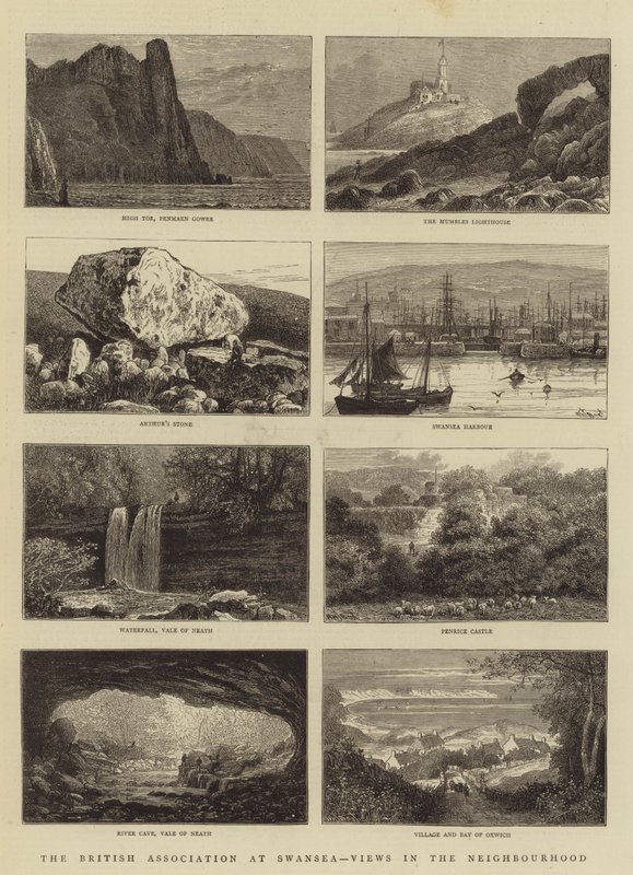 The British Association at Swansea, Views in the Neighborhood af William Henry James Boot