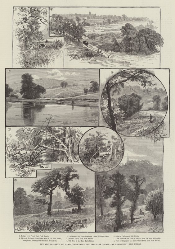 Den nye udvidelse af Hampstead-Heath, East Park Estate og Parliament Hill Fields af William Henry James Boot
