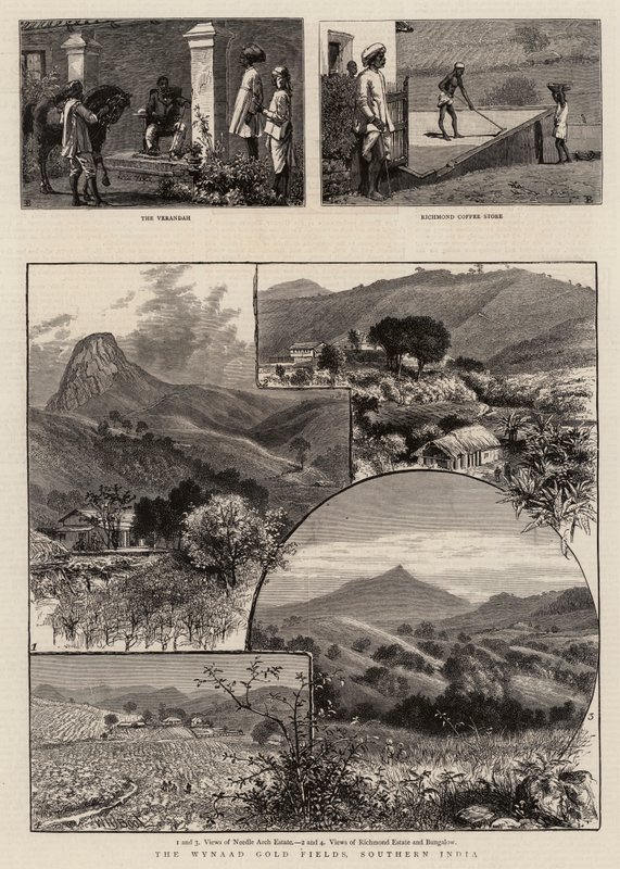 Wynaad Gold Fields, det sydlige Indien af William Henry James Boot