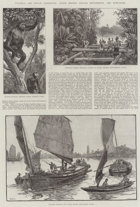 Colonial and Indian Exhibition, North Borneo, Straits Settlements og Hong-Kong af William Heysham Overend