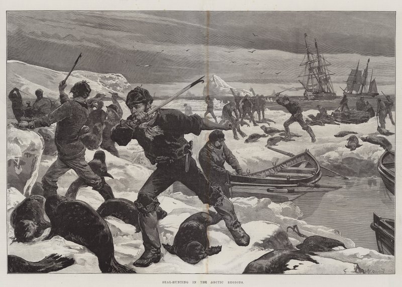 Sæljagt i de arktiske egne af William Heysham Overend