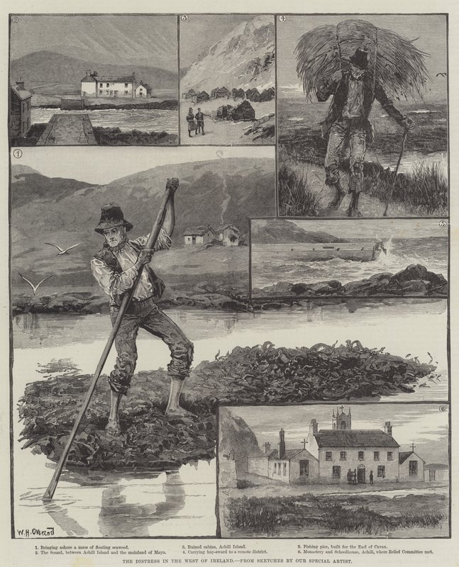 Nøden i det vestlige Irland af William Heysham Overend