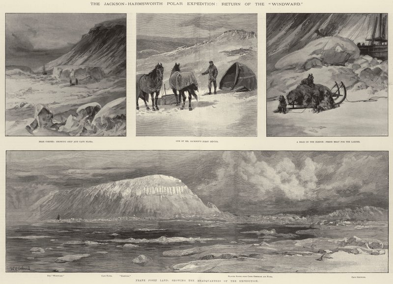 Jackson-Harmsworth Polar Ekspeditionen, Windwards tilbagevenden af William Heysham Overend