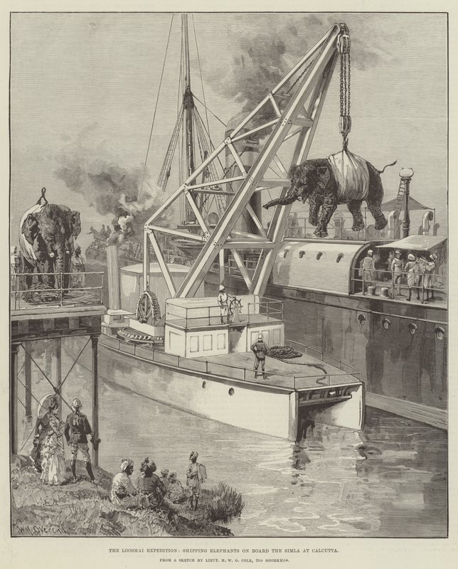 Looshai-ekspeditionen, der sender elefanter ombord på Simla i Calcutta af William Heysham Overend
