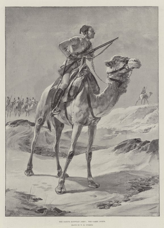 Den indfødte egyptiske hær, kamelkorpset af William Heysham Overend