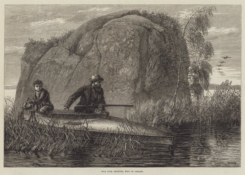Skydning af vilde ænder, vest for Irland gravering af William Heysham Overend