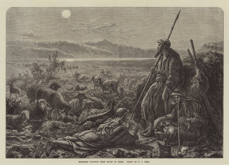 Hyrder ser på deres flokke om natten af William J. Webbe or Webb