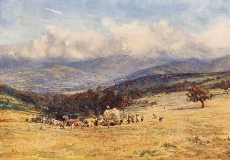 Brecknock Beacons, fra Brecknock-Talgarth Road (farvelitografi) af William Lionel (after) Wyllie