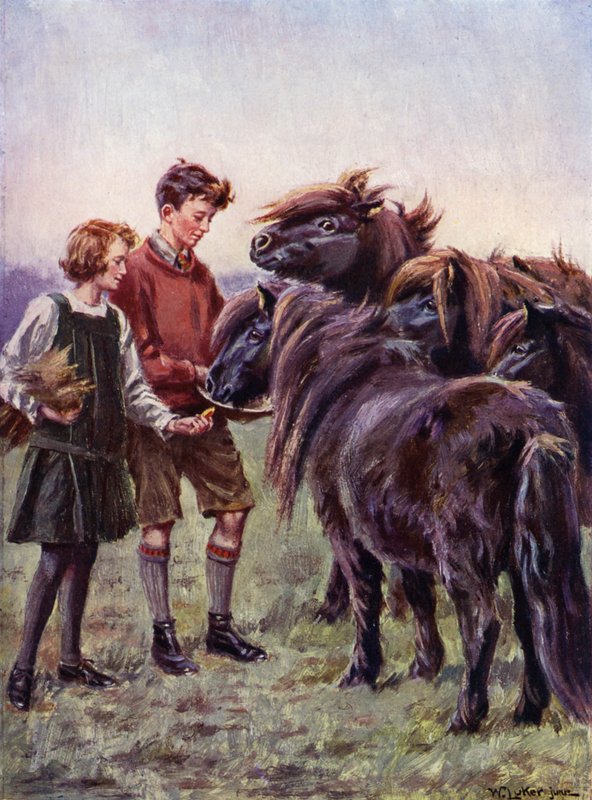 Dreng og pige fodrer shetlandsponyer (farve litho) af William Luker