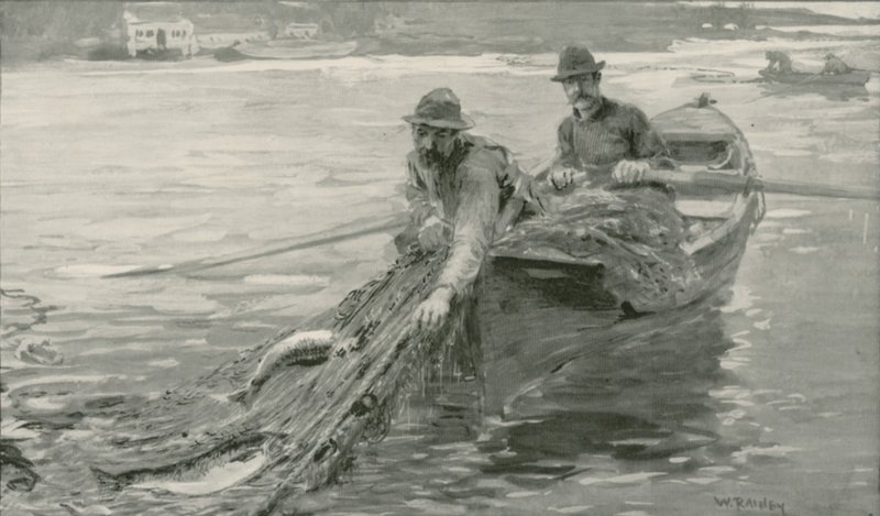 Netting laks på Fraser River, British Columbia af William Rainey