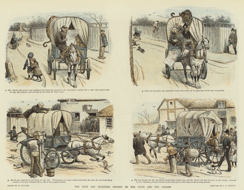 Tigerens og bærerens sande og afledte historie (chromolitho) af William Ralston