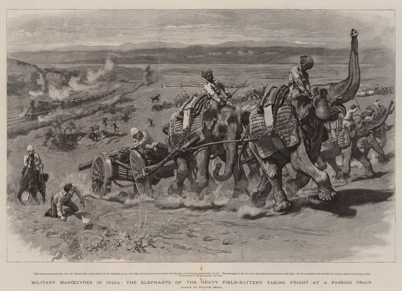 Militære manøvrer i Indien, elefanterne fra det tunge felt-batteri, der skræmmer ved et forbipasserende tog af William Small