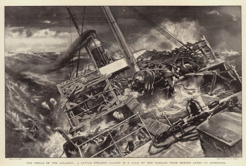 The Perils of the Atlantic, en kvægdamper fanget i kuling på sin passage fra Buenos Ayres til Liverpool af William Small
