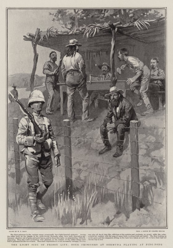 The Light Side of Prison Life, Boer Prisoners på Bermuda spiller på Ping-Pong af William T. Maud