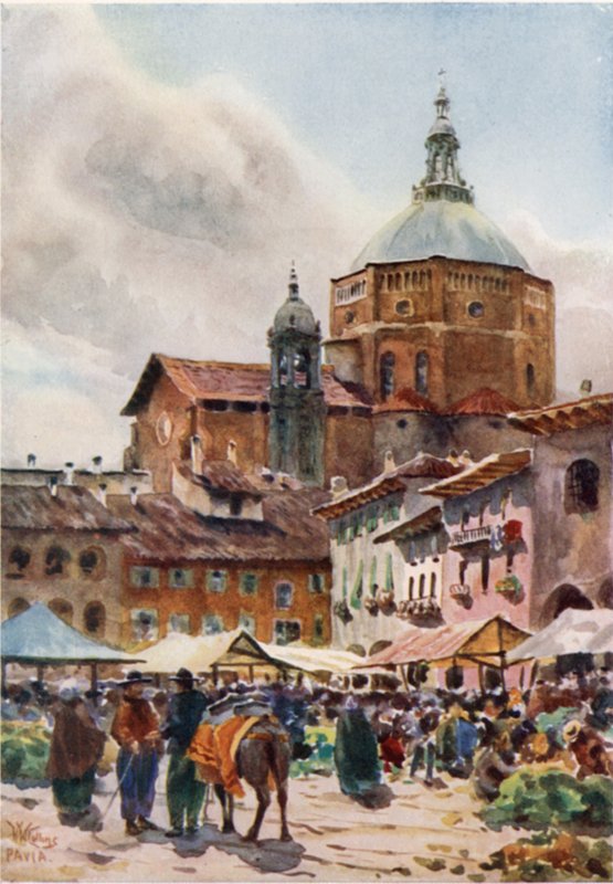 Pavia. Katedralen (farve litho) af William Wiehe Collins