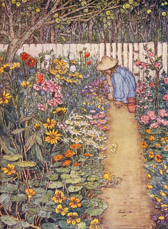 Børnenes bog om havearbejde: A Herbaceous Border (farvelitografi) af Winifred Cayley Robinson