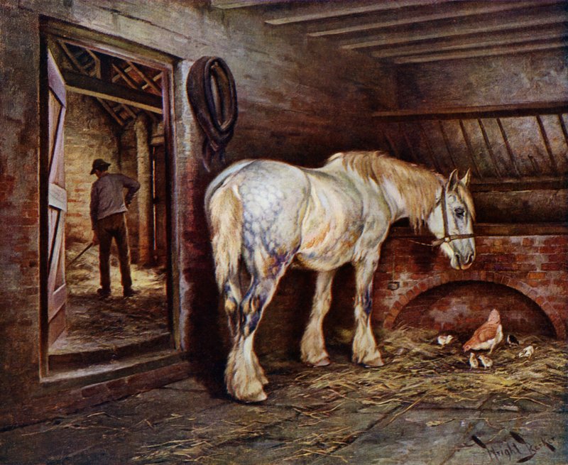 I slutningen af dagen: hest i stalden som en mand møger ud (farve litho) af Wright Barker