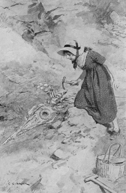 Ved Lyme Regis stødte Mary Anning på 12 år på den første Ichthyosaurus fundet i England af after Charles Edmund Brock