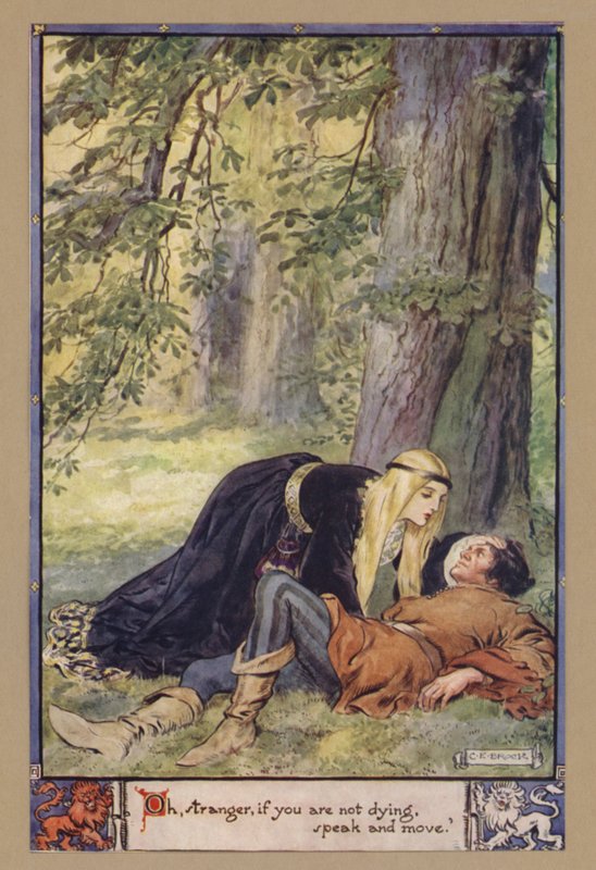 Åh, fremmede, hvis du ikke er døende, så tal og flyt dig af after Charles Edmund Brock
