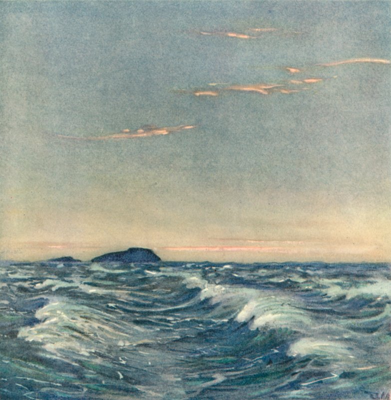 Hvide Heste af after Donald Maxwell