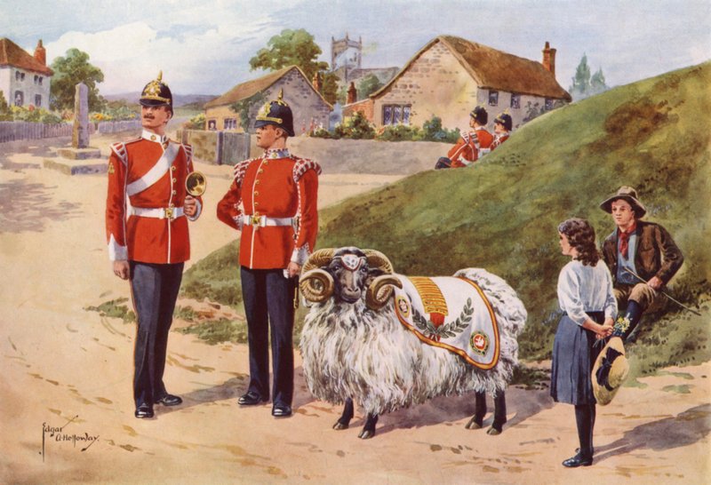 Derby Tom, Sherwood Foresters