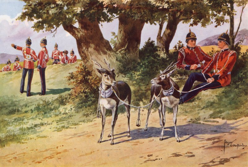 Pet Antilopes fra Royal Warwickshire Regiment af after Edgar Alfred Holloway