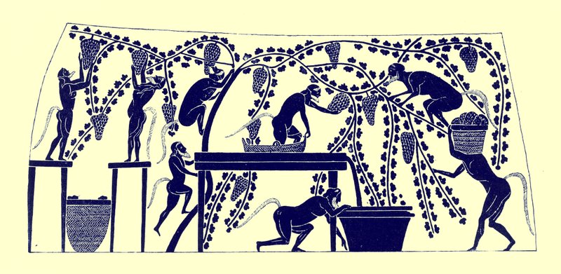 Satyrer samler årgangen, illustration fra græske vasemalerier af J. E. Harrison og D. S. MacColl, udgivet 1894 (digitalt forbedret billede) af after English School