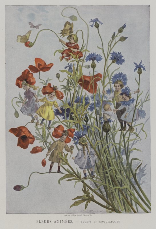 Fleurs Animees. Bleuets et Coquelicots. (Animerede blomster: kornblomster og valmuer) af after Firmin Bouisset