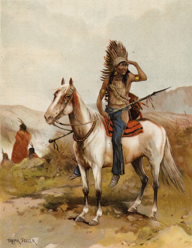 En sioux-indianerhøvding (chromolitho) af after Frank Feller
