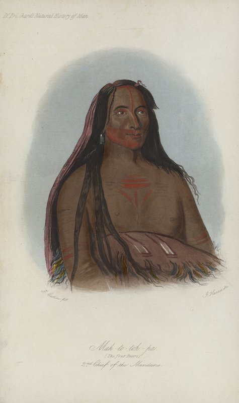 Mah-to-toh-pa, The Four Bears, 2nd Chief Of The Mandans (akvatint) af after George Catlin