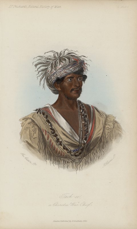 Tuch-ee, en Cherokee War Chief (akvatint) af after George Catlin