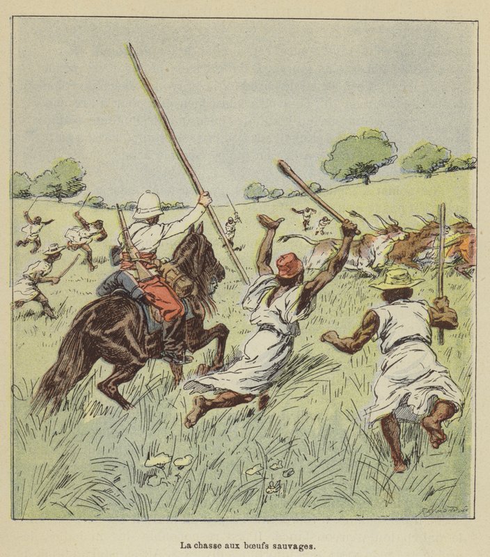 Jagt på vilde okser af after Louis Charles Bombled