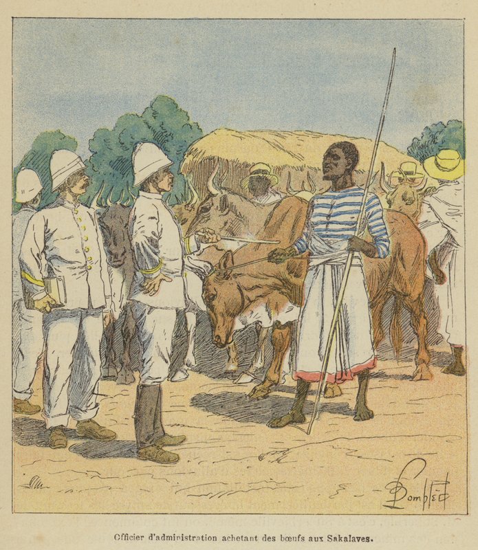 Administrationsofficer køber okser fra Sakalaves af after Louis Charles Bombled