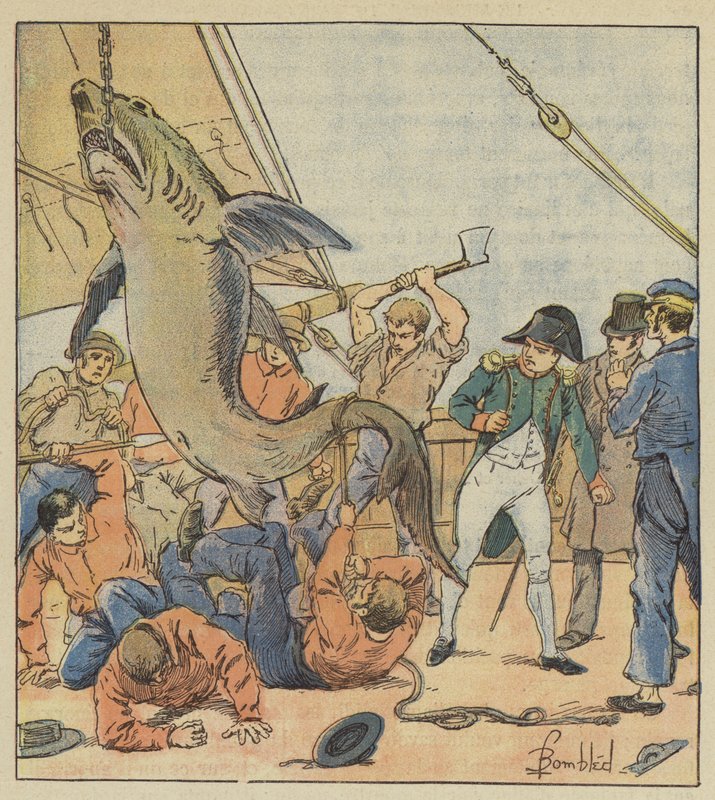 Fangst af en haj af after Louis Charles Bombled