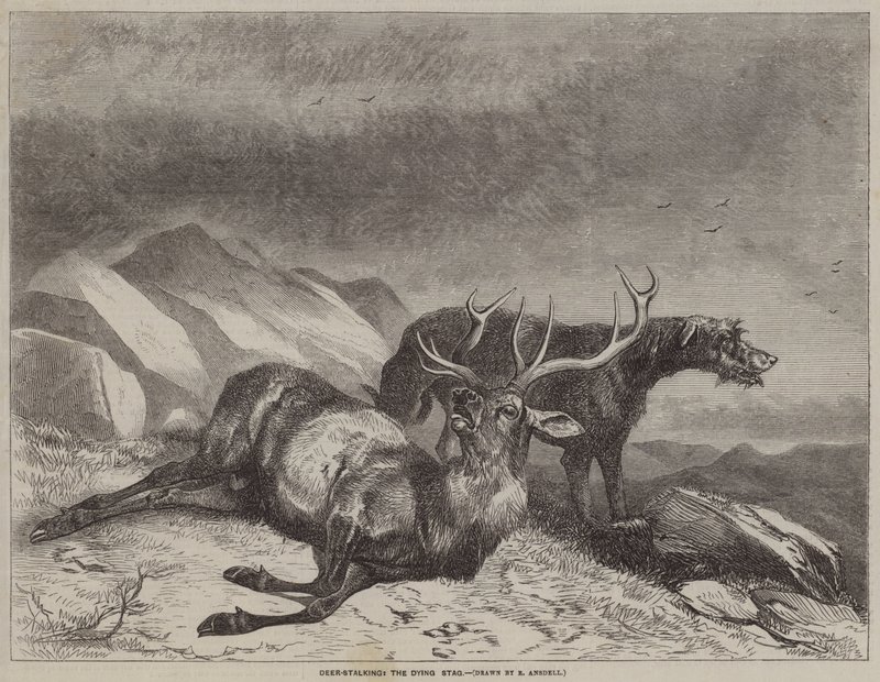 Deer-Stalking, den døende hjorte af after Richard Ansdell