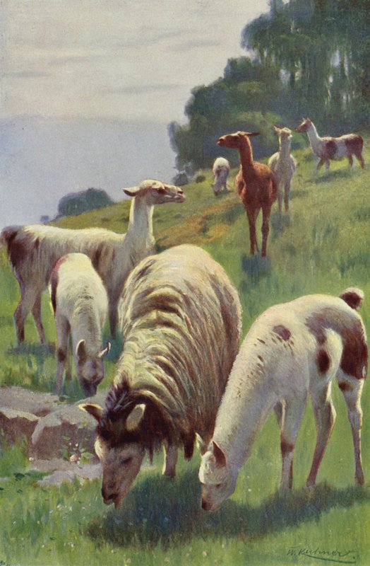 Ring til af after Wilhelm Kuhnert
