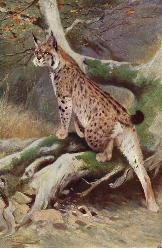 Los af after Wilhelm Kuhnert
