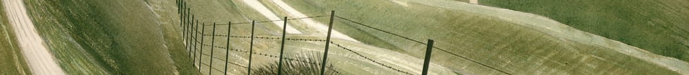 Kridtstier (Eric Ravilious)