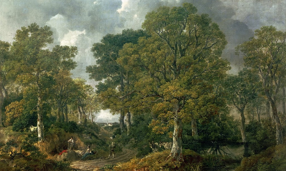 Skov