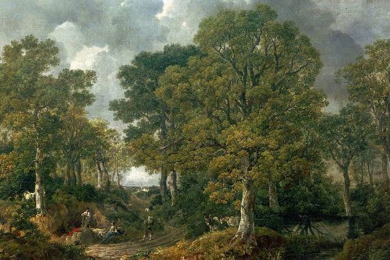 Skov