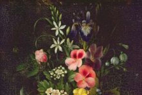 A. Viedebant