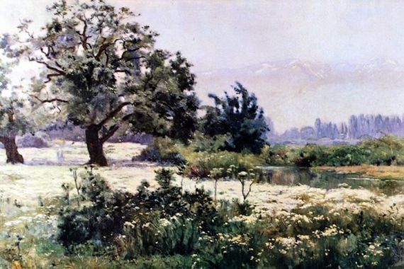 Alberto Valenzuela Llanos