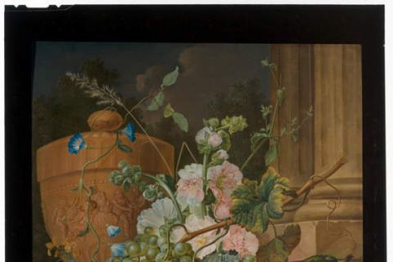 Cornelis Johannes Schaalje