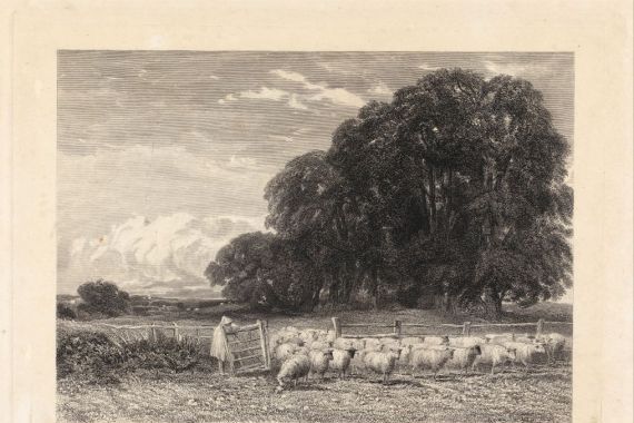Edward Radclyffe
