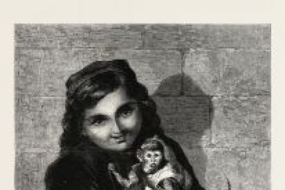 Elizabeth Murray